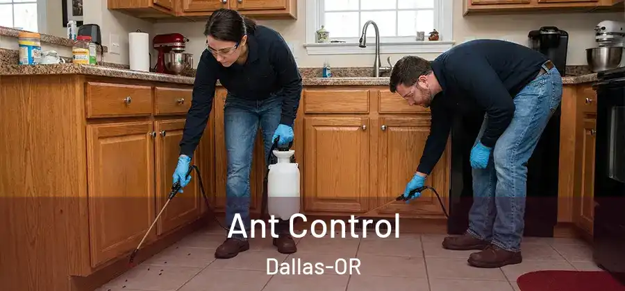 Ant Control Dallas-OR