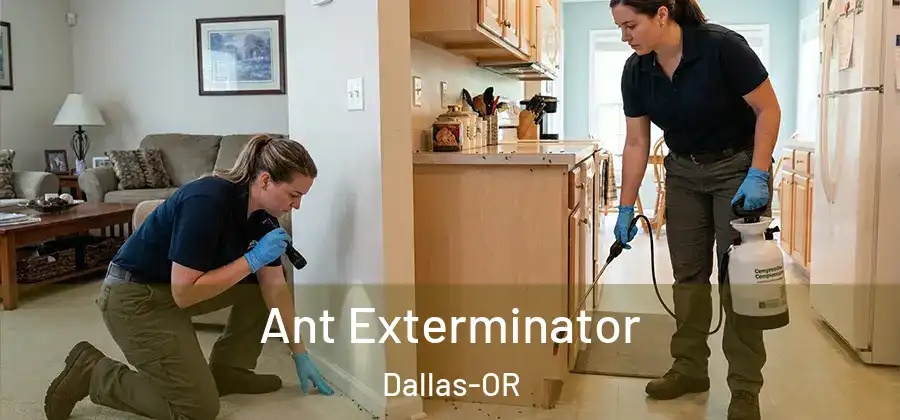 Ant Exterminator Dallas-OR