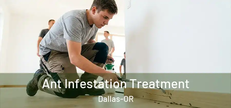 Ant Infestation Treatment Dallas-OR