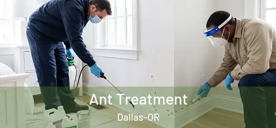  Ant Treatment Dallas-OR