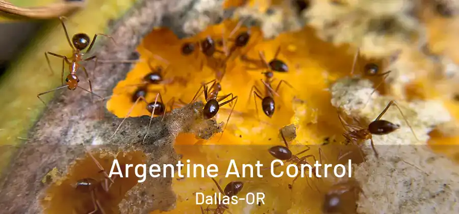 Argentine Ant Control Dallas-OR