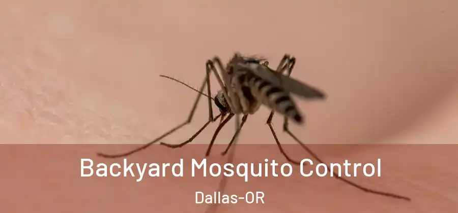 Backyard Mosquito Control Dallas-OR