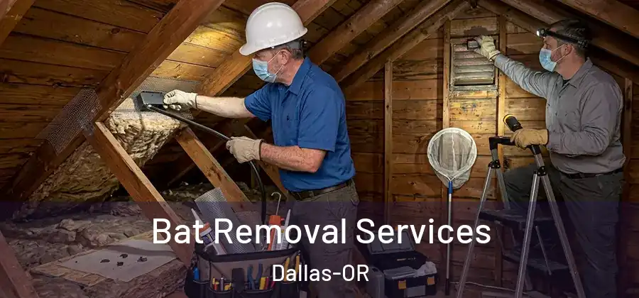  Bat Removal Services Dallas-OR
