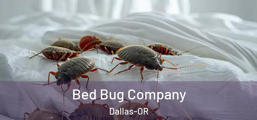 Bed Bug Company Dallas-OR