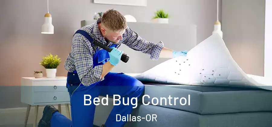  Bed Bug Control Dallas-OR