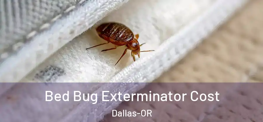 Bed Bug Exterminator Cost Dallas-OR