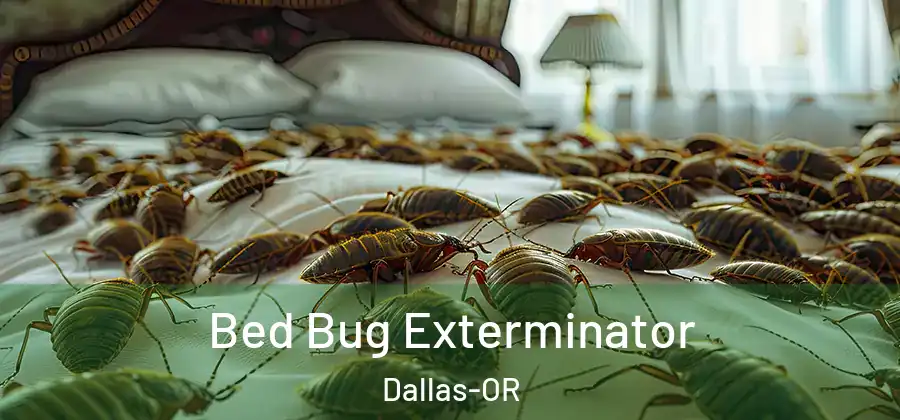 Bed Bug Exterminator Dallas-OR