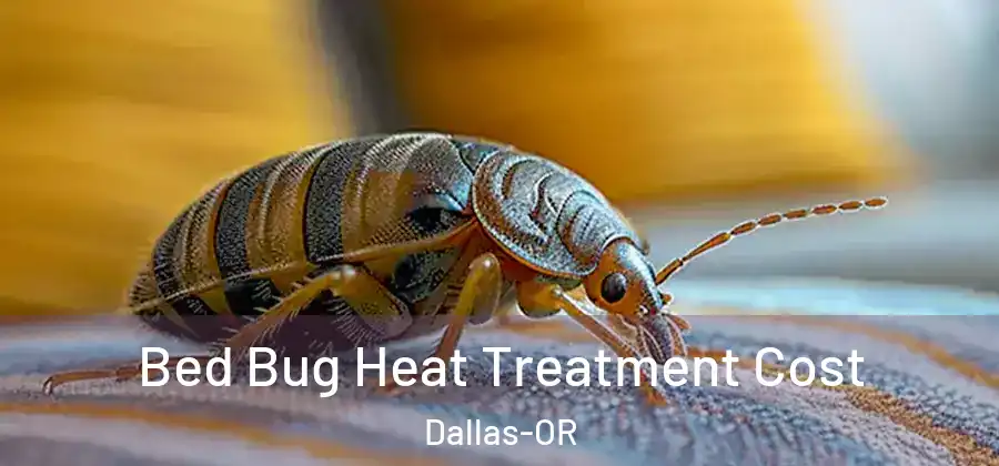 Bed Bug Heat Treatment Cost Dallas-OR