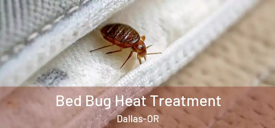  Bed Bug Heat Treatment Dallas-OR