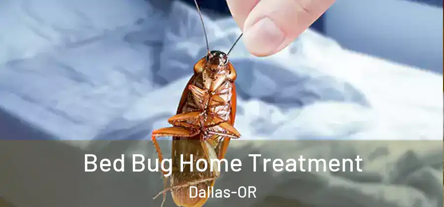  Bed Bug Home Treatment Dallas-OR
