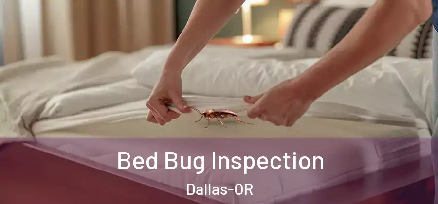Bed Bug Inspection Dallas-OR