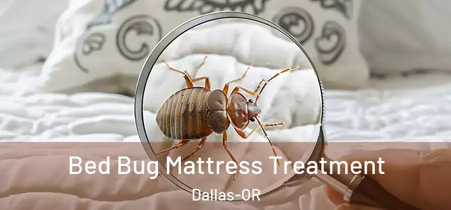  Bed Bug Mattress Treatment Dallas-OR