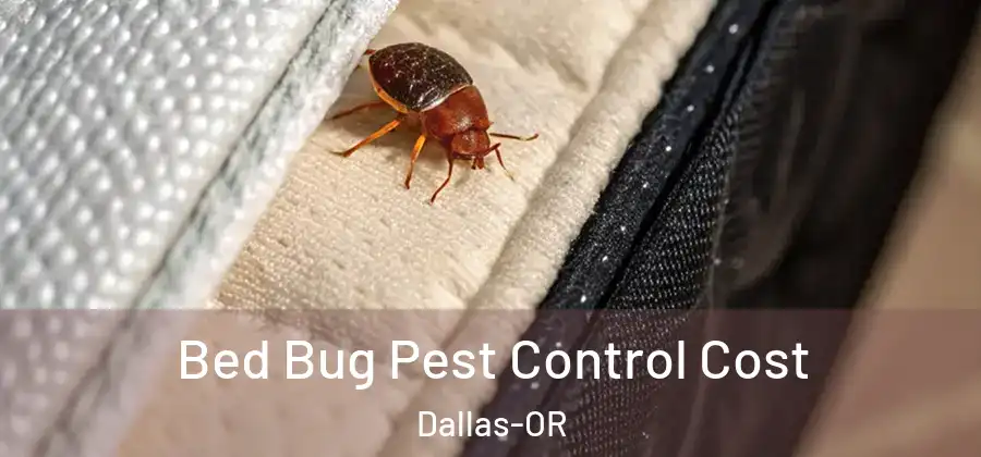  Bed Bug Pest Control Cost Dallas-OR