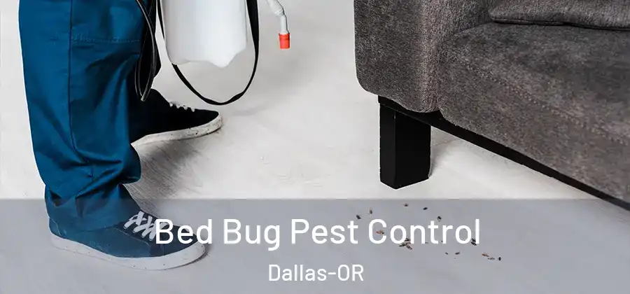 Bed Bug Pest Control Dallas-OR