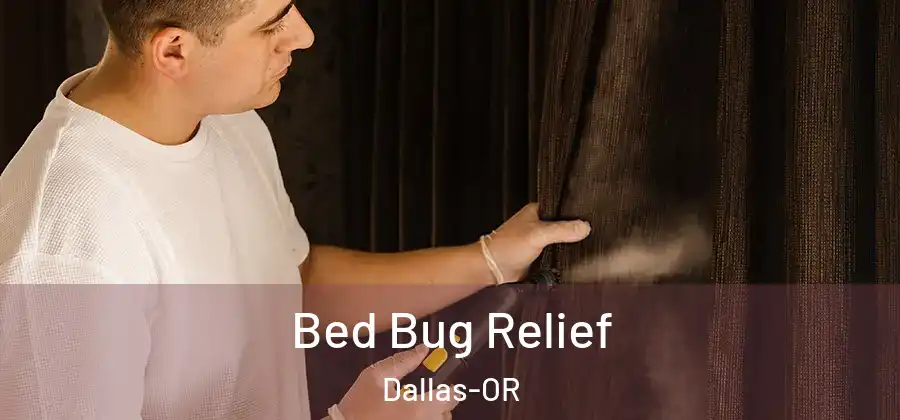 Bed Bug Relief Dallas-OR