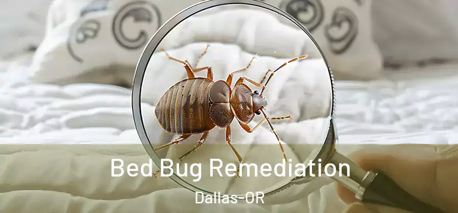 Bed Bug Remediation Dallas-OR