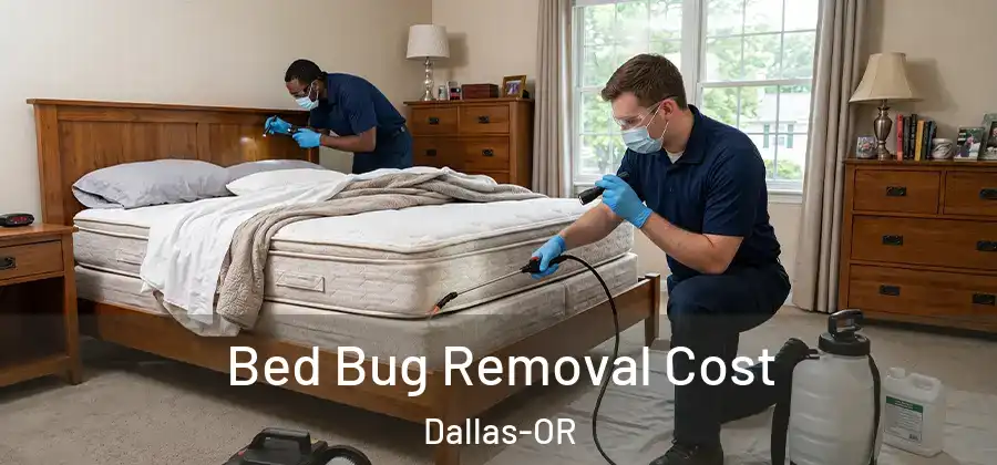 Bed Bug Removal Cost Dallas-OR