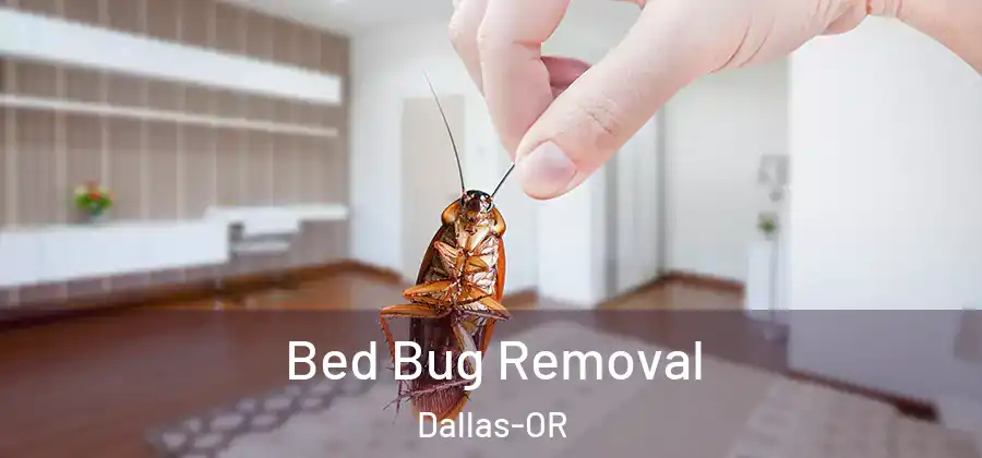 Bed Bug Removal Dallas-OR