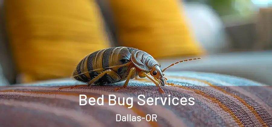  Bed Bug Services Dallas-OR