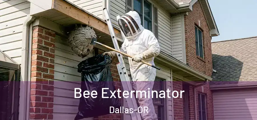 Bee Exterminator Dallas-OR