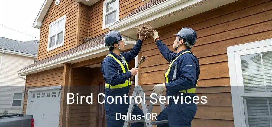Bird Control Services Dallas-OR