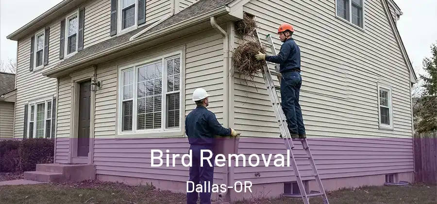 Bird Removal Dallas-OR