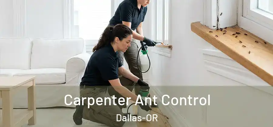 Carpenter Ant Control Dallas-OR