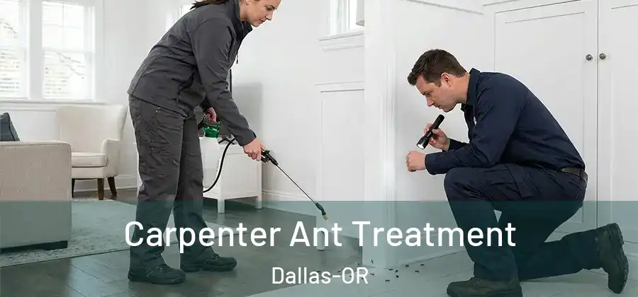  Carpenter Ant Treatment Dallas-OR
