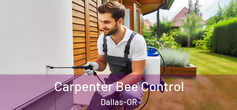 Carpenter Bee Control Dallas-OR