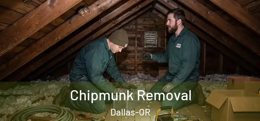 Chipmunk Removal Dallas-OR