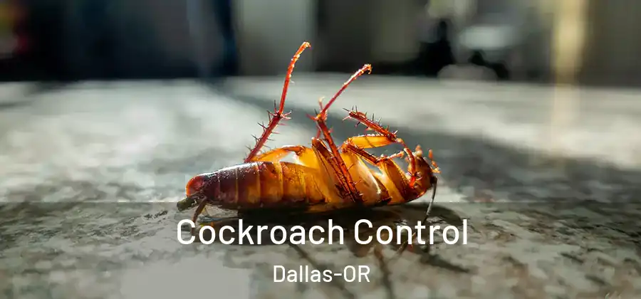  Cockroach Control Dallas-OR