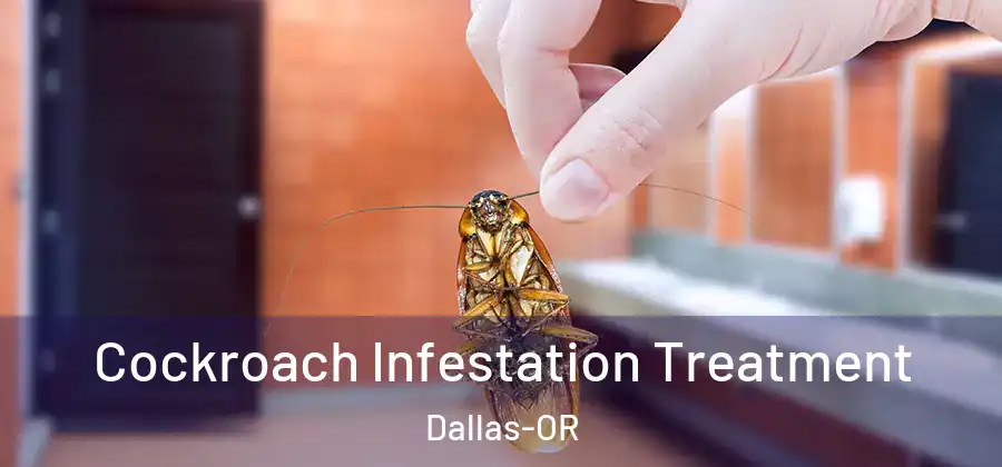  Cockroach Infestation Treatment Dallas-OR