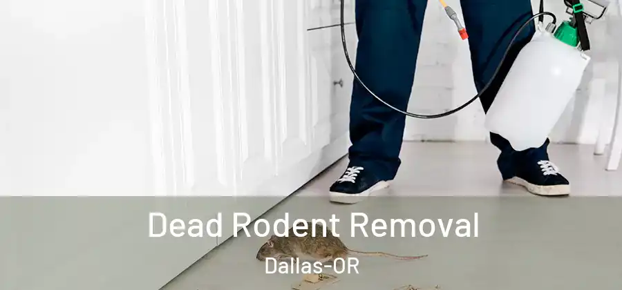 Dead Rodent Removal Dallas-OR