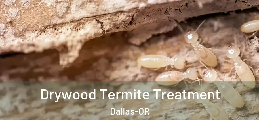 Drywood Termite Treatment Dallas-OR