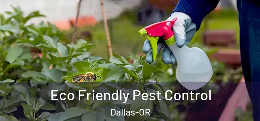 Eco Friendly Pest Control Dallas-OR