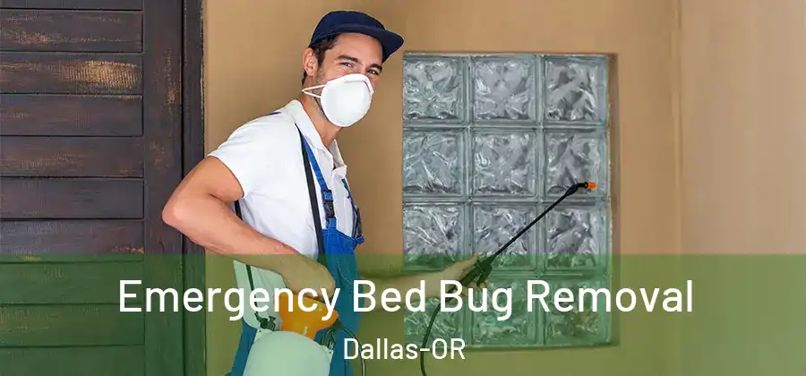  Emergency Bed Bug Removal Dallas-OR