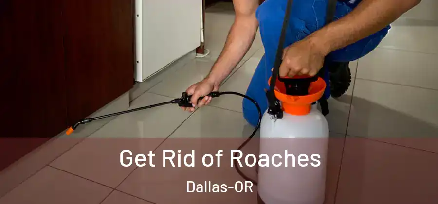 Get Rid of Roaches Dallas-OR