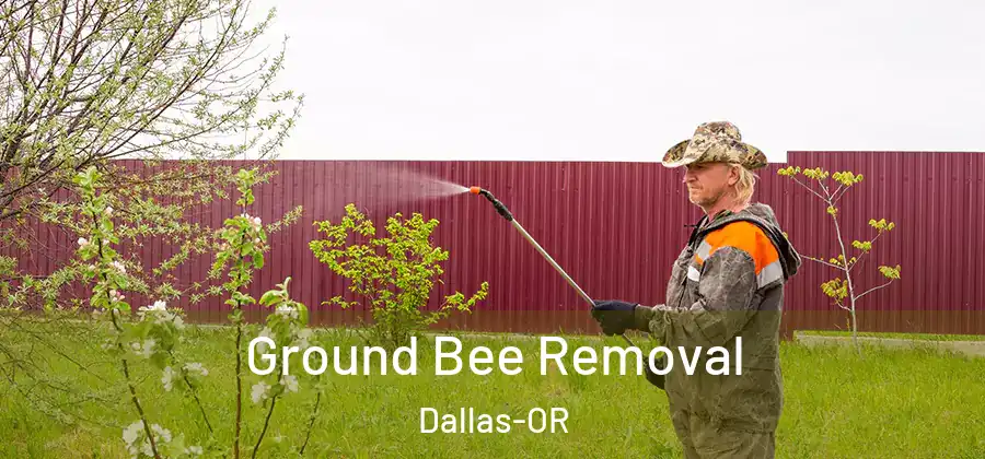  Ground Bee Removal Dallas-OR