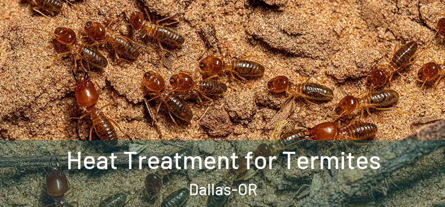Heat Treatment for Termites Dallas-OR