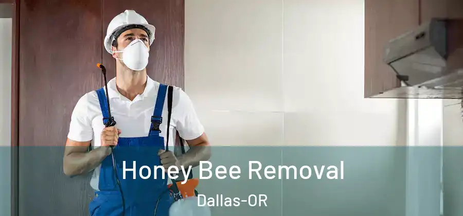  Honey Bee Removal Dallas-OR
