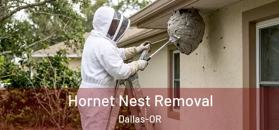 Hornet Nest Removal Dallas-OR