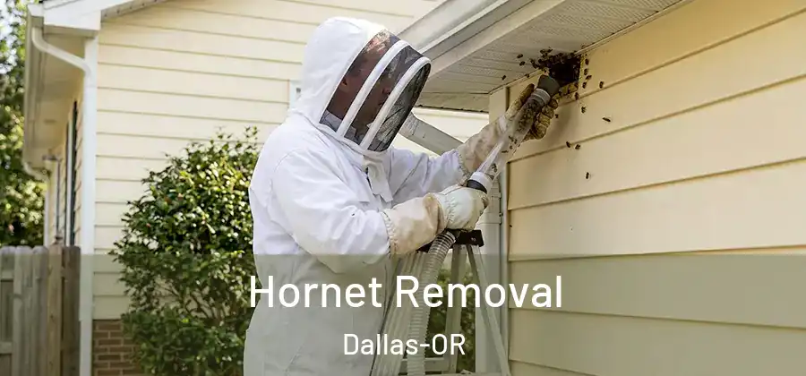  Hornet Removal Dallas-OR