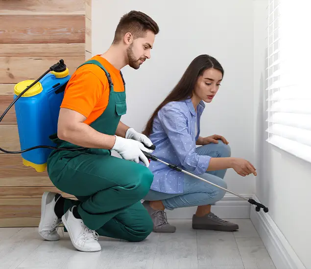 Trusted Affordable Bed Bug Treatment Experts in Dallas, OR