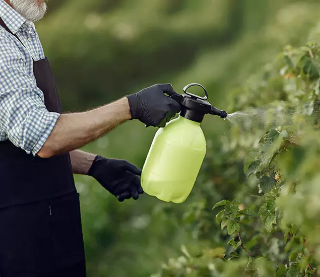 Your Proven Mosquito Treatment Company in Dallas, OR