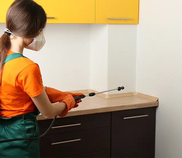 Trusted Bed Bug Pest Control Specialist in Dallas, OR