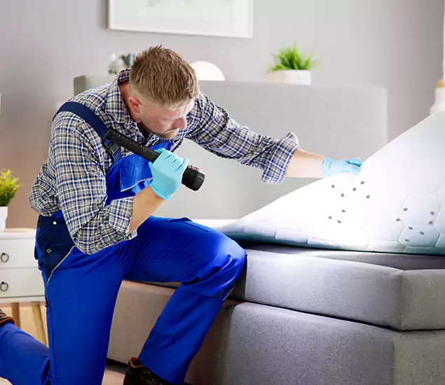 Trusted Bed Bug Remediation Experts in Dallas, OR