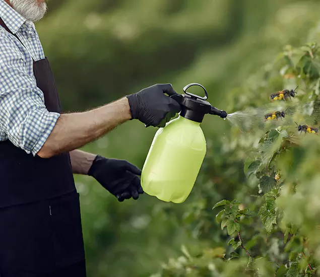 Your Carpenter Bee Service in Dallas, OR