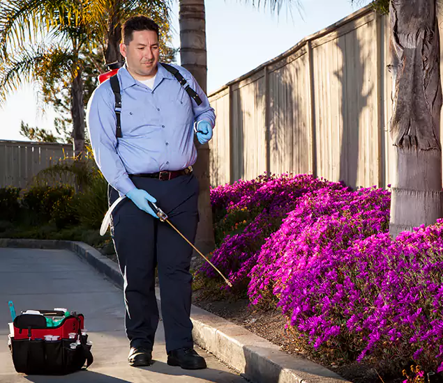 About Our Eco Safe Pest Control Experts in Dallas, OR
