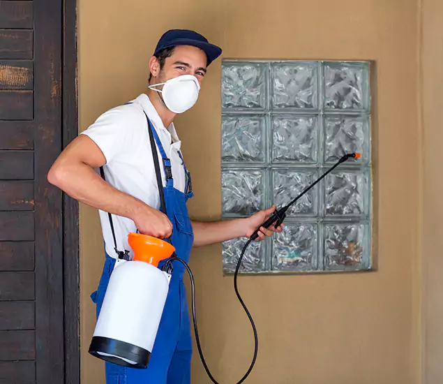 Your Reliable Pest Control in Dallas, OR