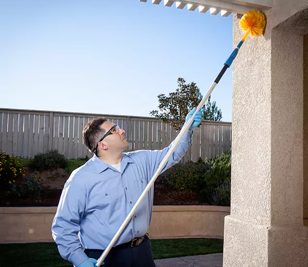 Trusted Experts in Dallas OR for Formosan Termite Treatment and Black Termite Control